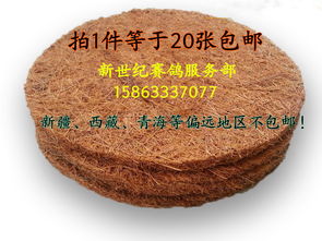 棕墊21cm與0.8cm防潮墊 品質生活的雙重守護